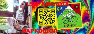 стаф Можга