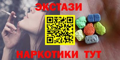 стаф Можга