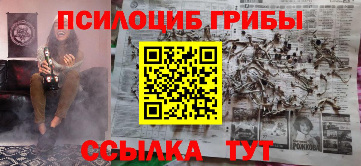 Псилоцибиновые грибы прущие грибы Энгельс
