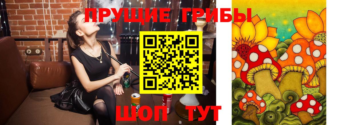 Галлюциногенные грибы GOLDEN TEACHER  Псилоцибиновые грибы Magic Shrooms  Энгельс  Вход с VPN 
